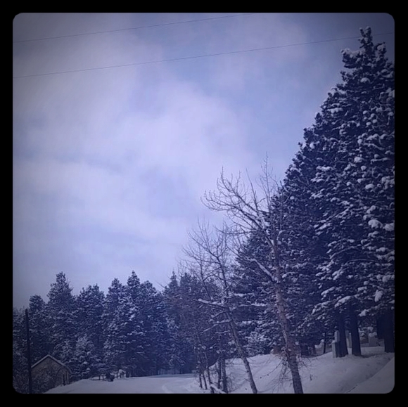 have a great day! - Picture 1 of 1